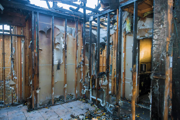 Professional Odor Removal technician working in Grand Ledge, MI